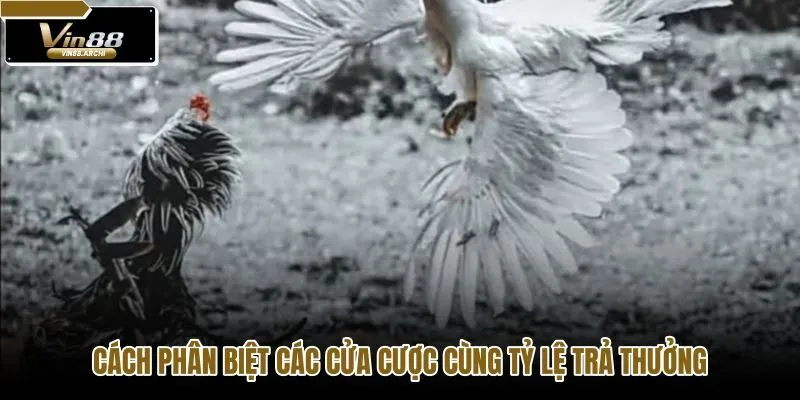 cach-phan-biet-cac-cua-cuoc-cung-ty-le-tra-thuong