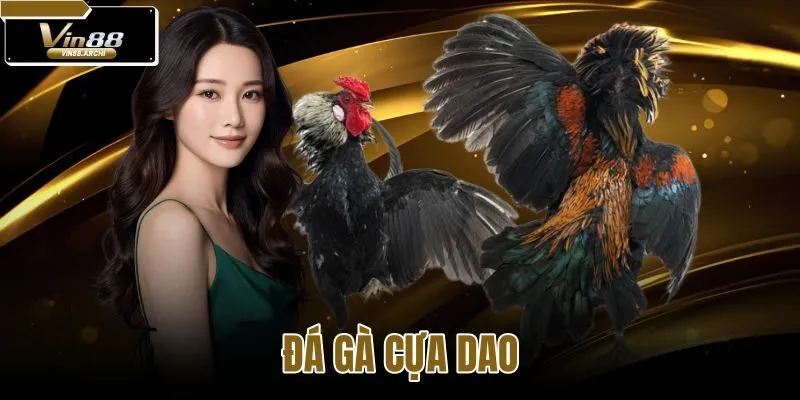 đá gà cựa dao