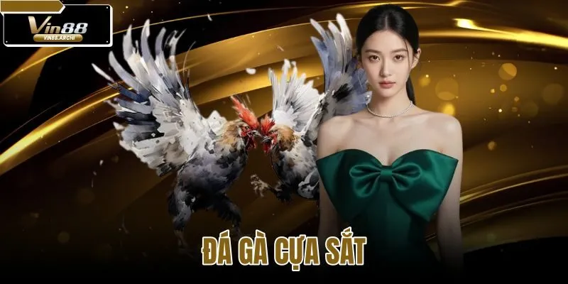 đá gà cựa sắt