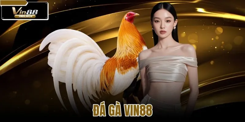 Đá gà VIN88