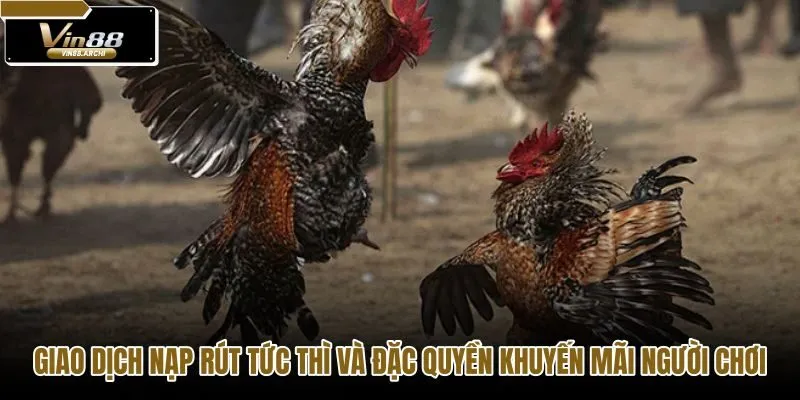 giao-dich-nap-rut-tuc-thi-va-dac-quyen-khuyen-mai-nguoi-choi