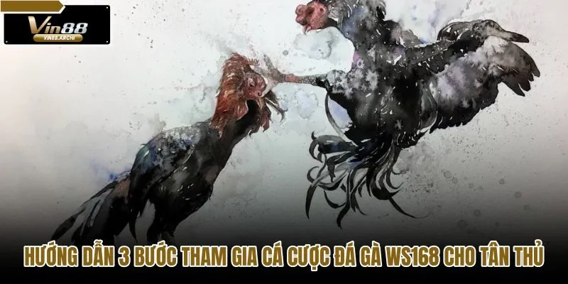 huong-dan-3-buoc-tham-gia-ca-cuoc-da-ga-ws168-cho-tan-thu huong-dan-3-buoc-tham-gia-ca-cuoc-da-ga-ws168-cho-tan-thu