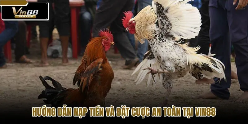 huong-dan-nap-tien-va-dat-cuoc-an-toan-tai-vin88 huong-dan-nap-tien-va-dat-cuoc-an-toan-tai-vin88
