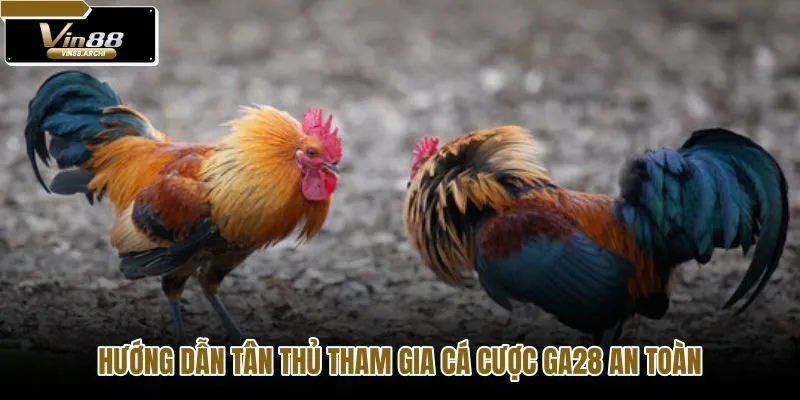 huong-dan-tan-thu-tham-gia-ca-cuoc-ga28-an-toan
