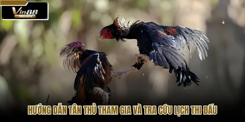huong-dan-tan-thu-tham-gia-va-tra-cuu-lich-thi-dau