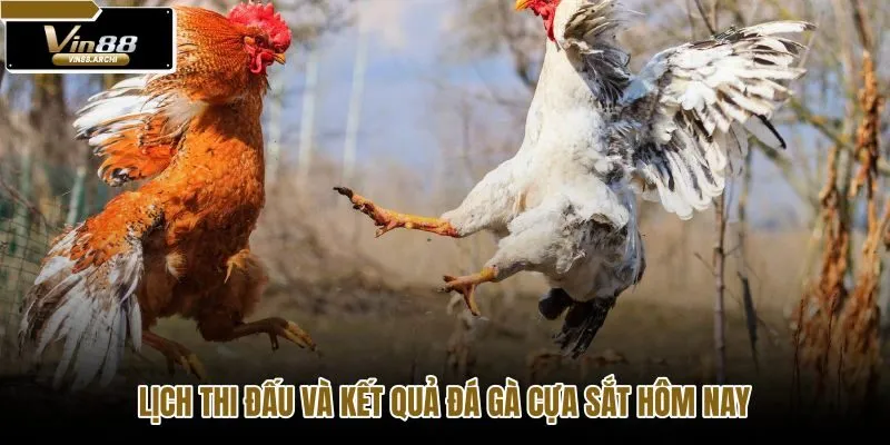 lich-thi-dau-va-ket-qua-da-ga-cua-sat-hom-nay lich-thi-dau-va-ket-qua-da-ga-cua-sat-hom-nay