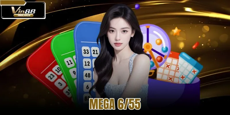 mega 6/55