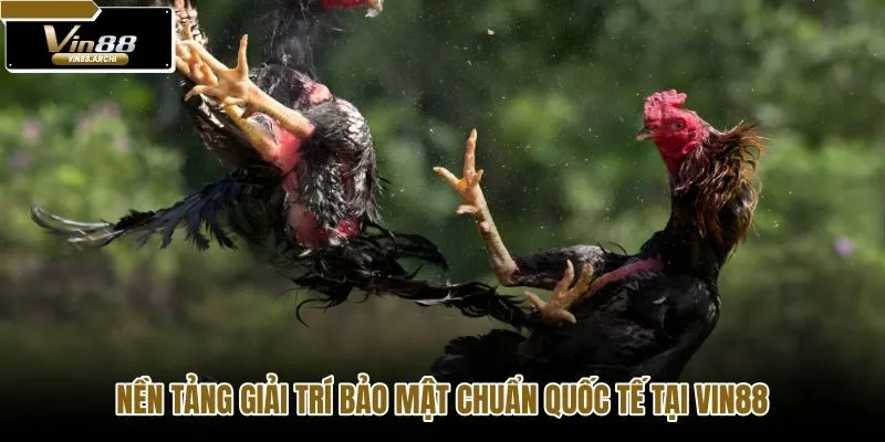 nen-tang-giai-tri-bao-mat-chuan-quoc-te-tai-vin88