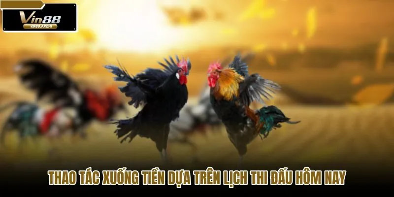 thao-tac-xuong-tien-dua-tren-lich-thi-dau-hom-nay